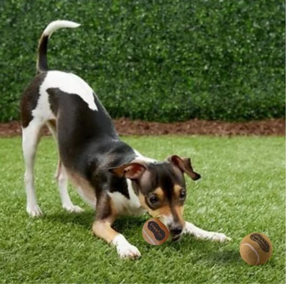 Petsport Peanut Butter Scented Tuff Ball chew Toy for Dogs - Image 6