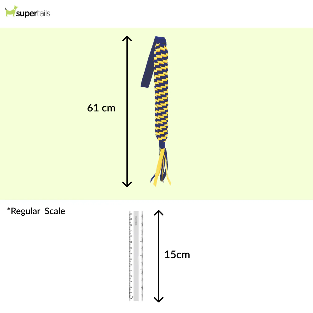 Petsport Twisted Chew Spring Tug Toy for Dogs - Image 2