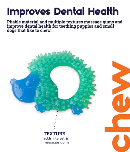 Petstages Cutie Chewies Hedgehog Chew Toy for Dogs (Blue) - Image 3