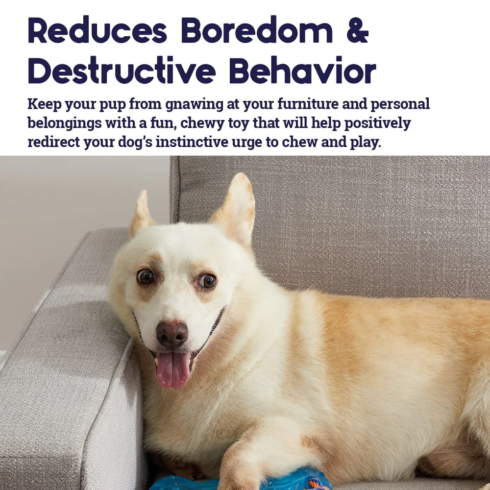 Petstages Orka Bone chew Toy for Dogs - Image 4