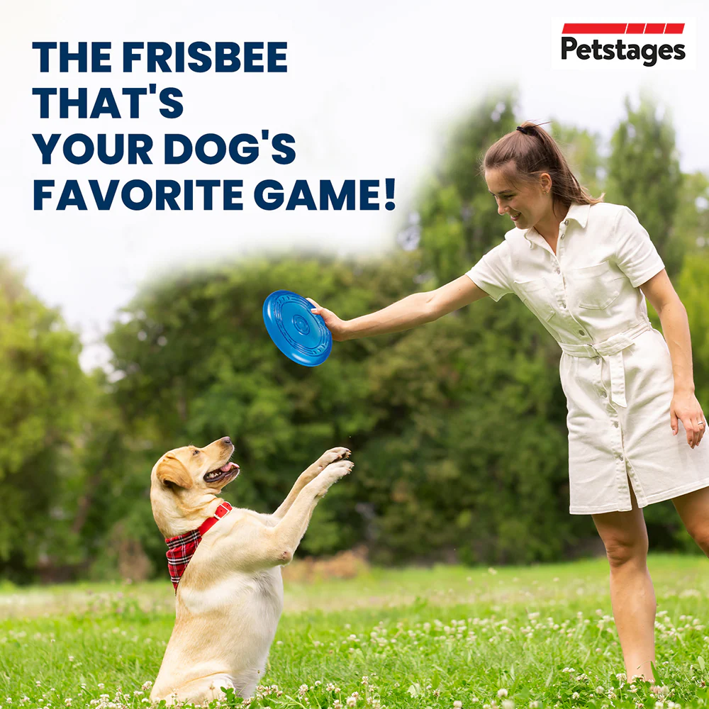 Petstages Orka Flyer Toy for Dogs (Blue) - Image 4