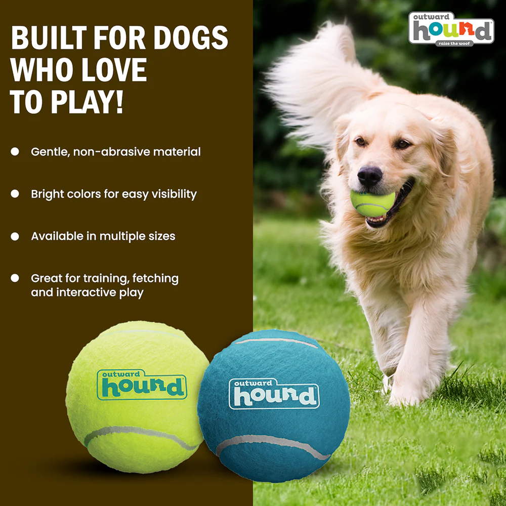 Petstages Squeaker Tenis Ballz Toy for Dogs (Blue/Green) - Image 6