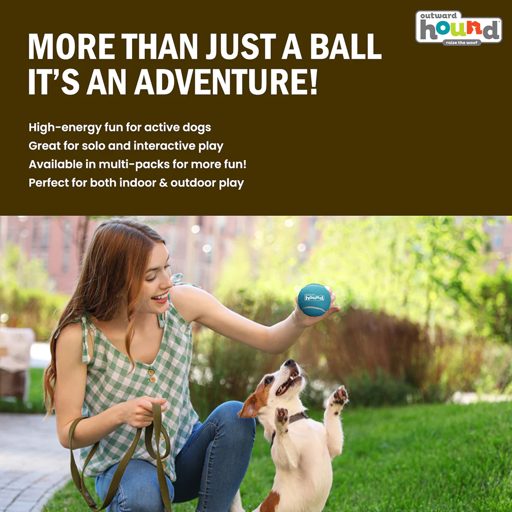 Petstages Squeaker Tenis Ballz Toy for Dogs (Blue/Green) - Image 8