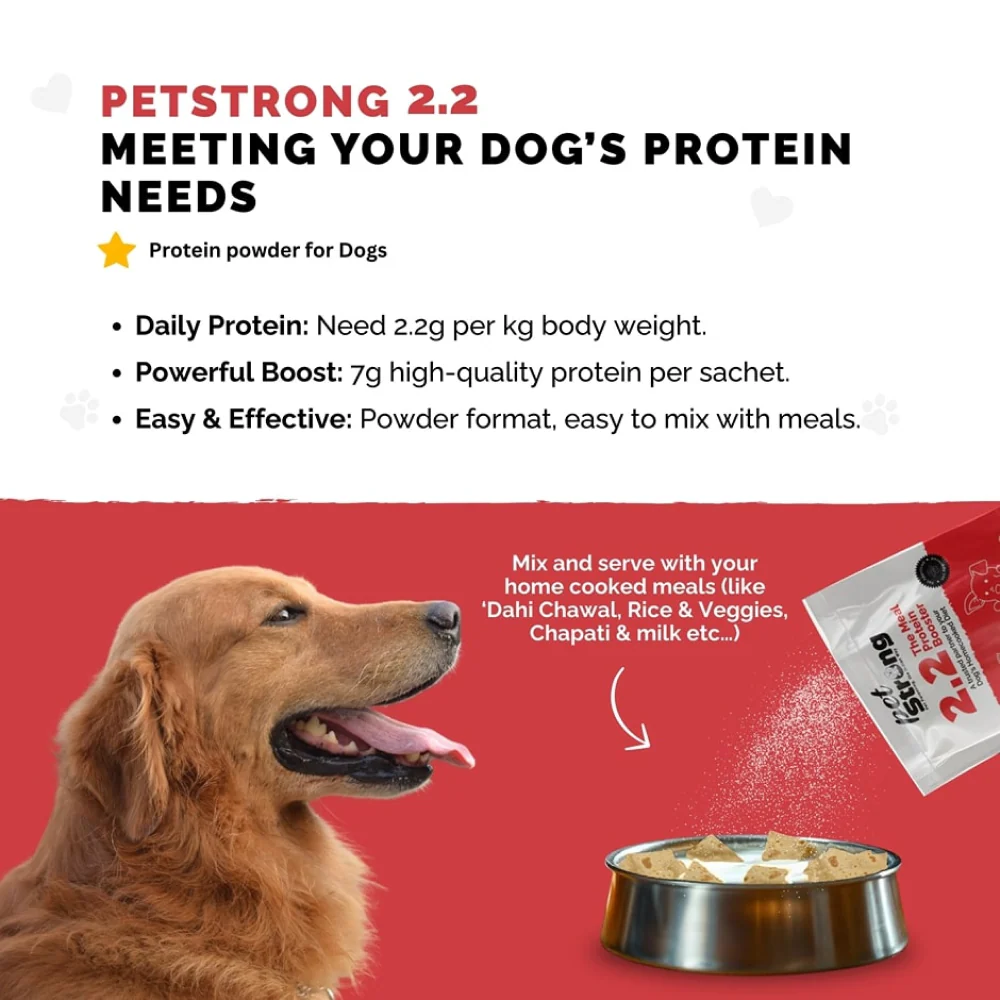 PetStrong Chicken and Rice Fresh Food and 2.2  Meal Protein Booster for Dogs Combo - Image 12