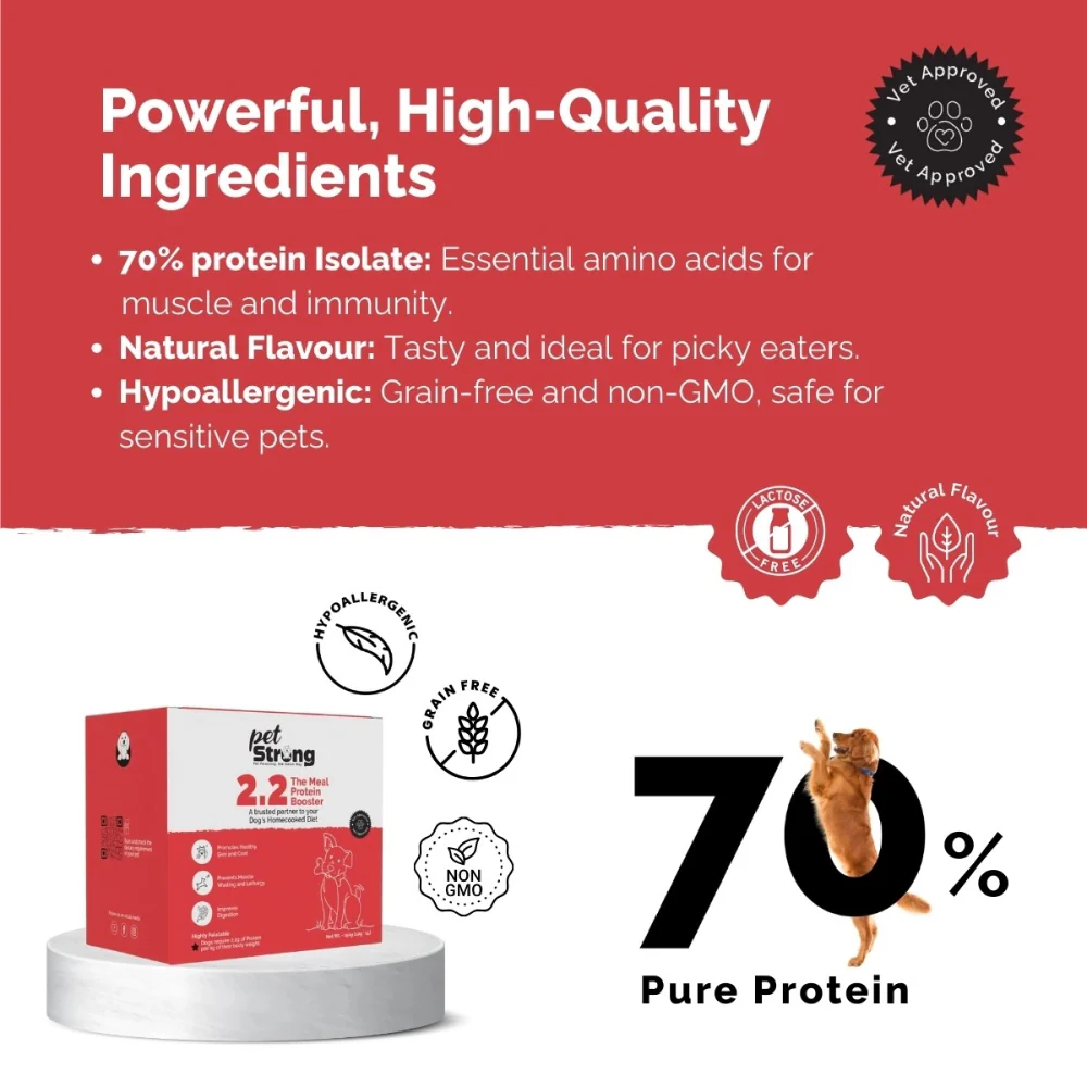 PetStrong Chicken and Rice Fresh Food and 2.2  Meal Protein Booster for Dogs Combo - Image 13