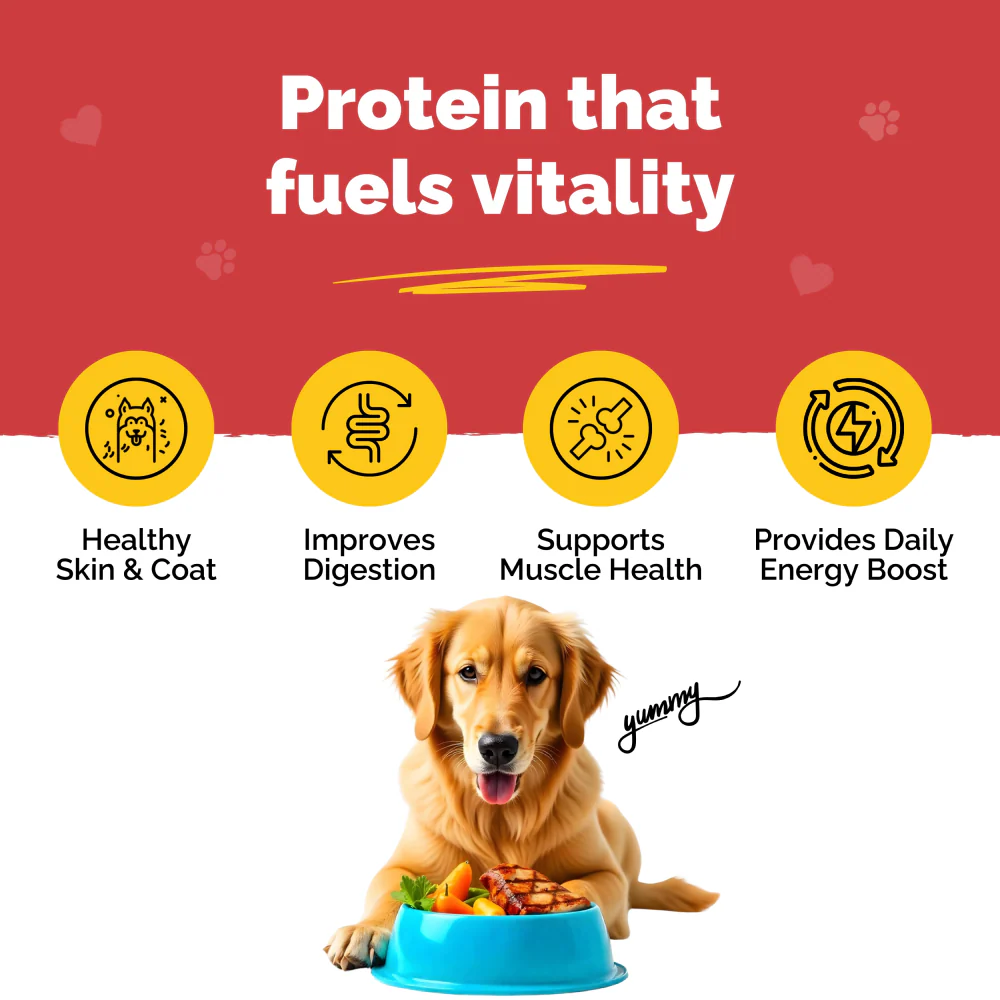 PetStrong Chicken and Rice Fresh Food and 2.2  Meal Protein Booster for Dogs Combo - Image 14