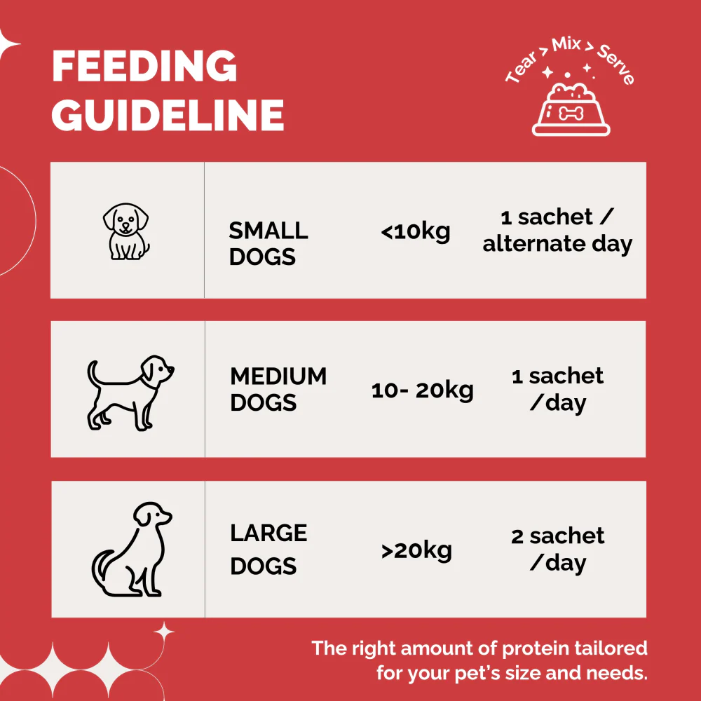 PetStrong Chicken and Rice Fresh Food and 2.2  Meal Protein Booster for Dogs Combo - Image 16