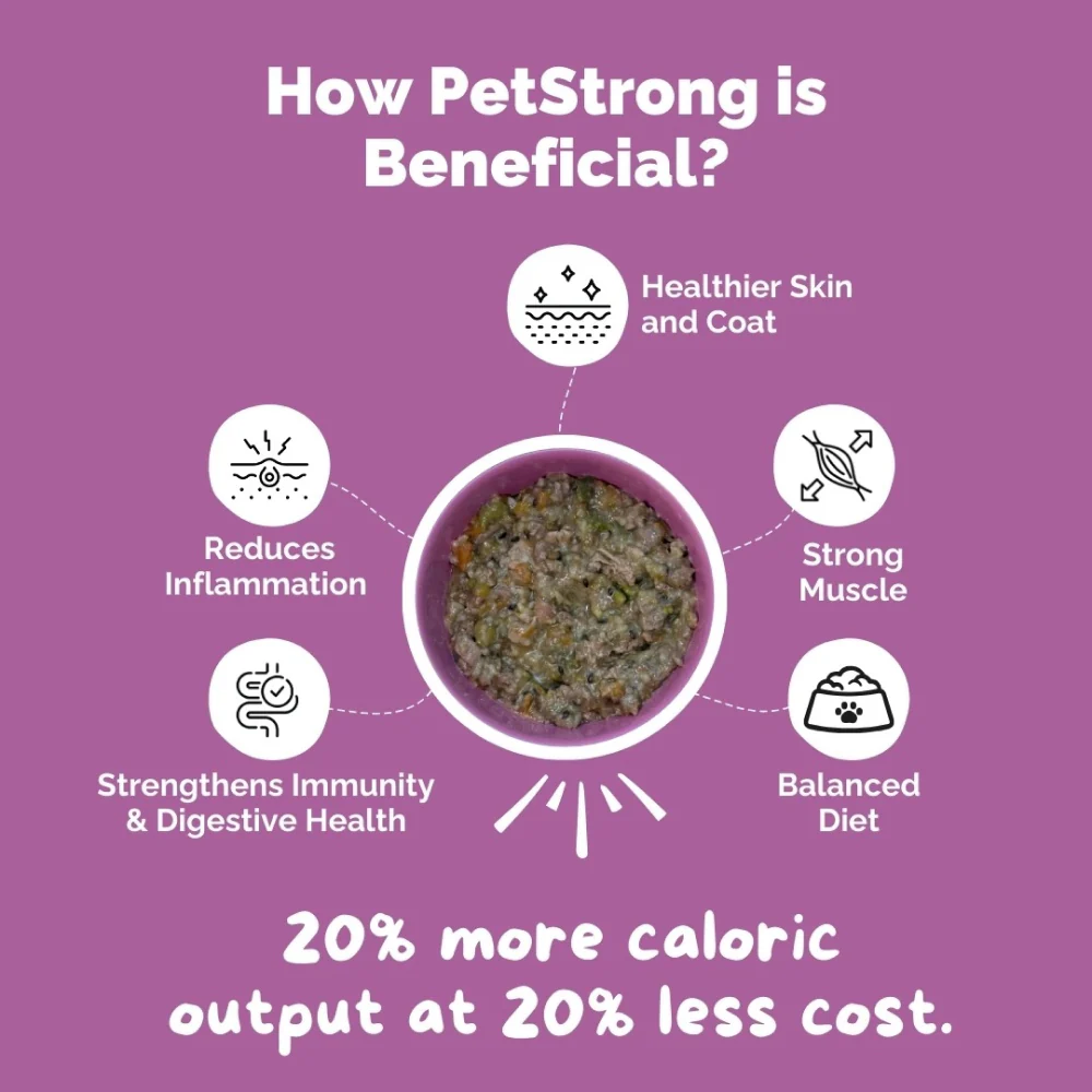 PetStrong Chicken and Rice Fresh Food for Dogs - Image 13