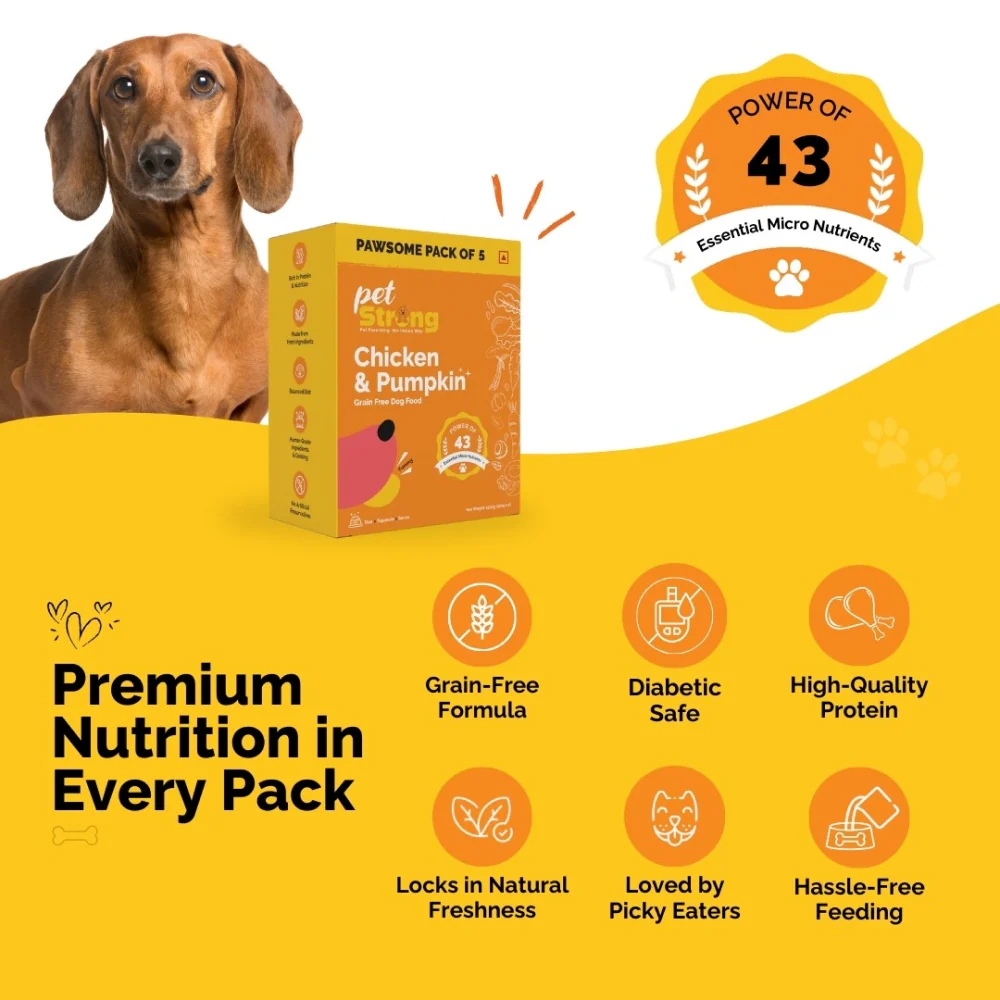 PetStrong Lamb and Blueberry & Chicken and Pumpkin Grain Free Fresh Food for Dogs Combo - Image 13