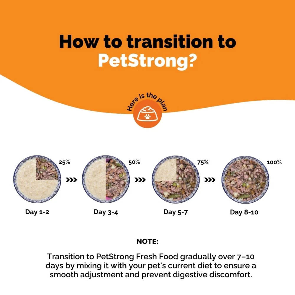 PetStrong Lamb and Blueberry & Chicken and Pumpkin Grain Free Fresh Food for Dogs Combo - Image 18