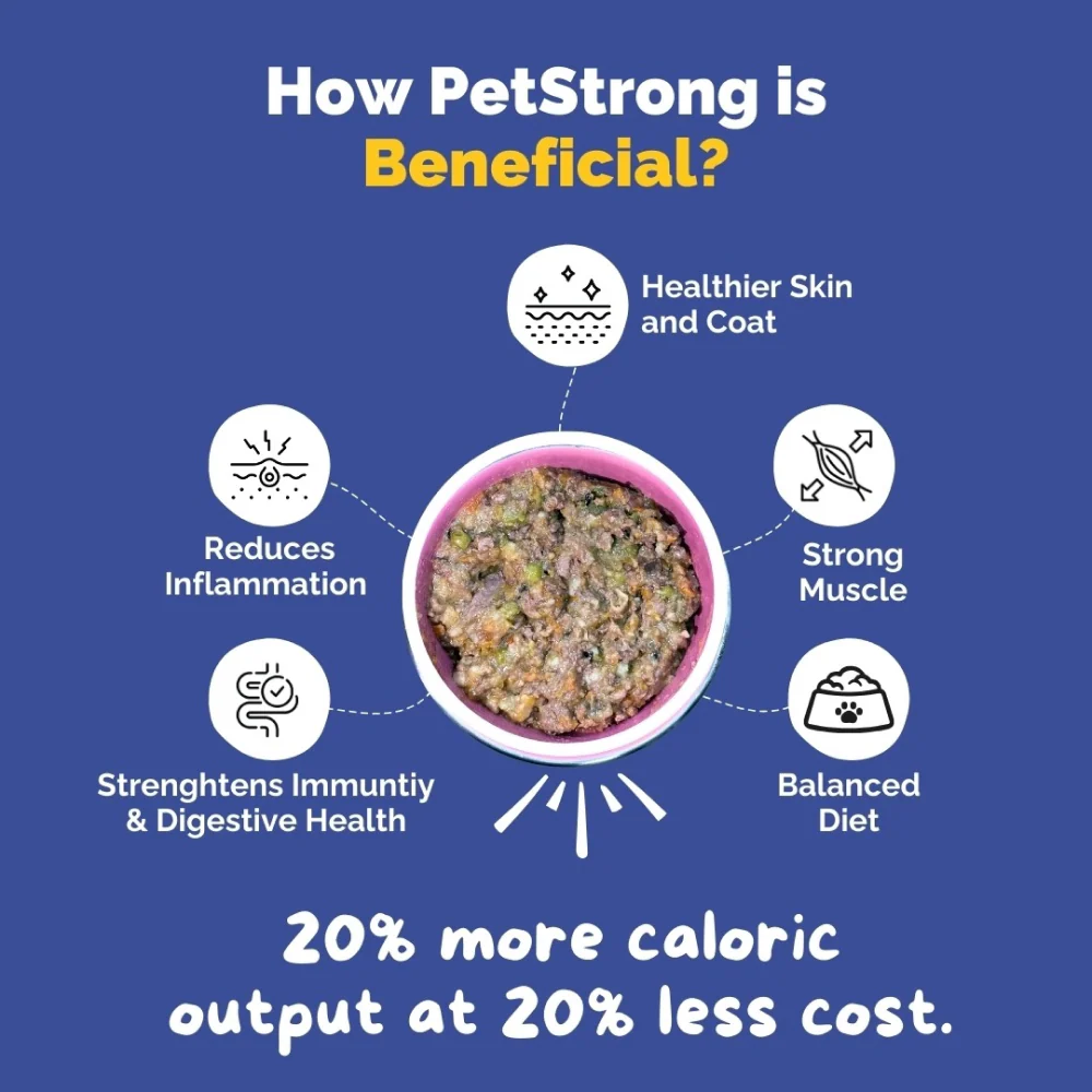 PetStrong Lamb and Blueberry Grain Free Fresh Food for Dogs - Image 13