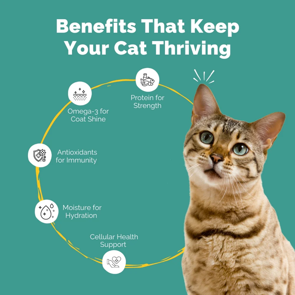 PetStrong Premium Wet Food Variety Pack Combo for Cats - Image 7