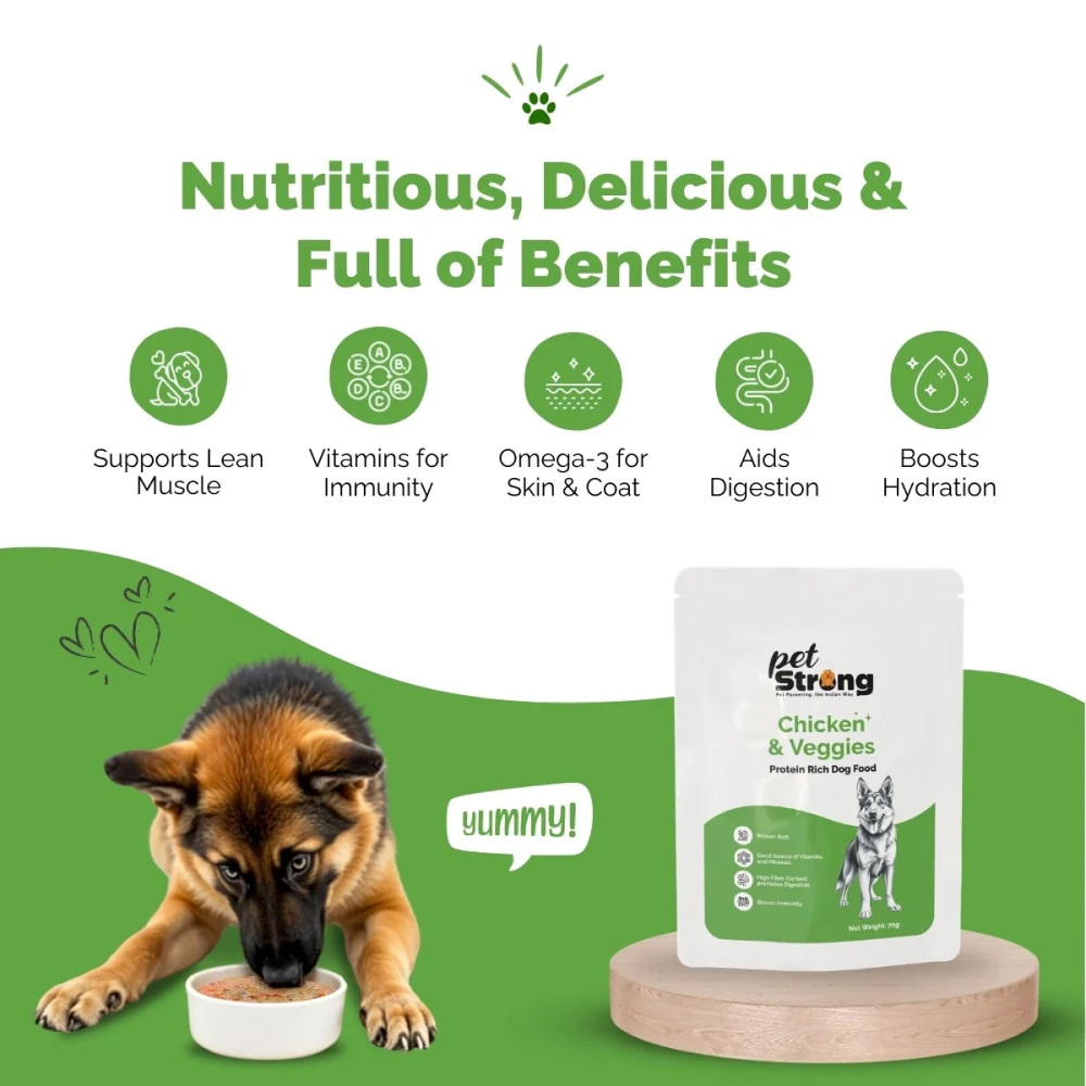 PetStrong Premium Wet Food Variety Pack Combo for Dogs - Image 14