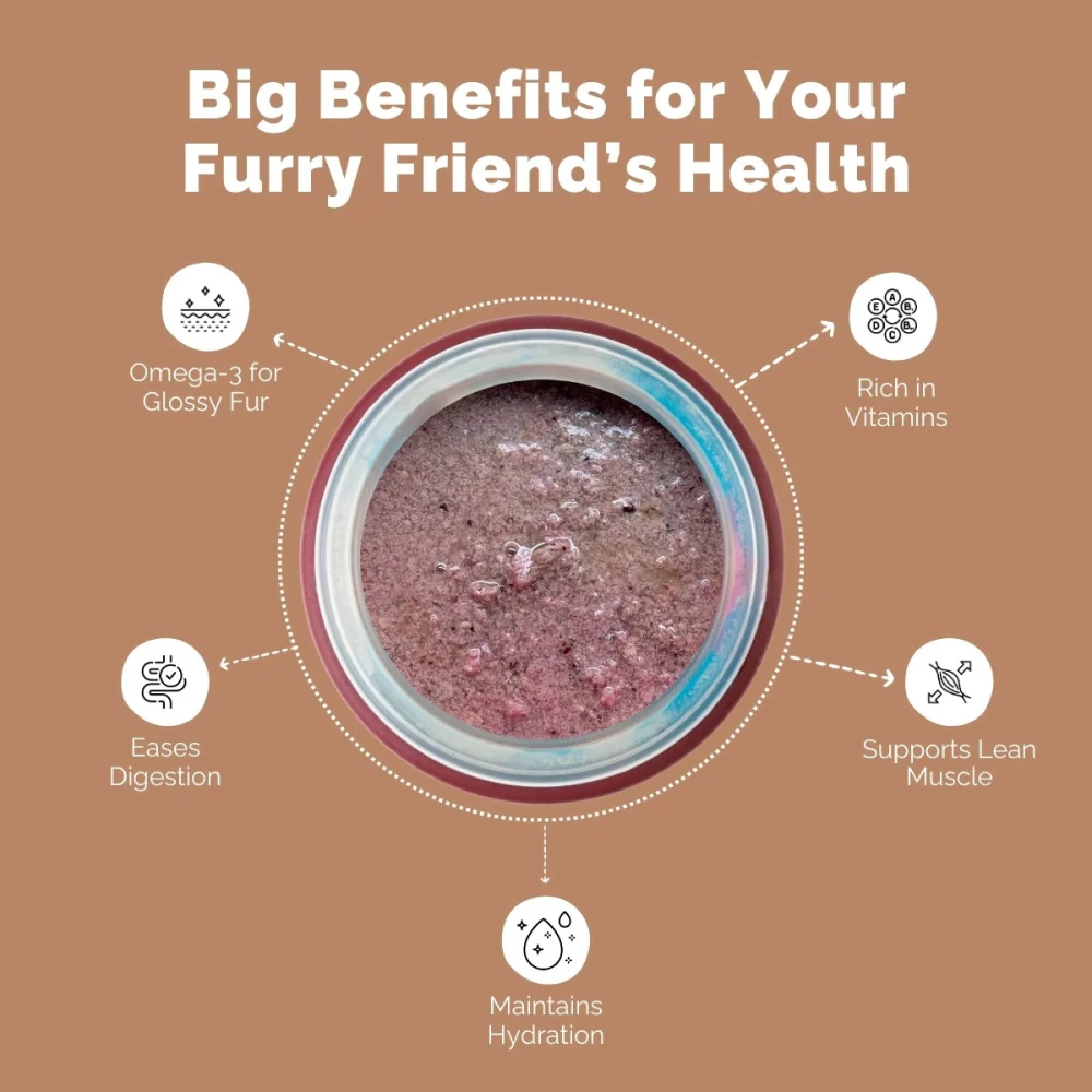 PetStrong Premium Wet Food Variety Pack Combo for Dogs - Image 7