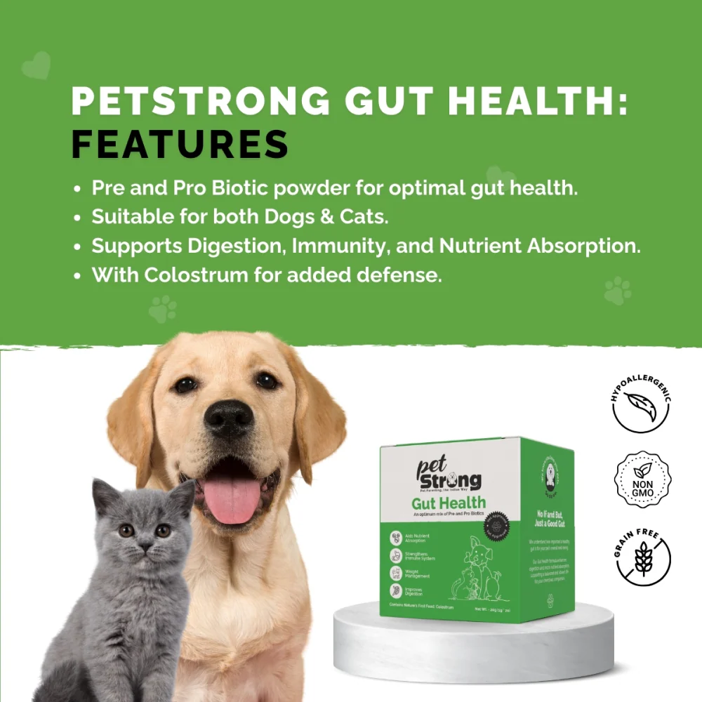 PetStrong Probiotic and Prebiotic Gut Health Supplement Sachet for Dogs and Cats - Image 6