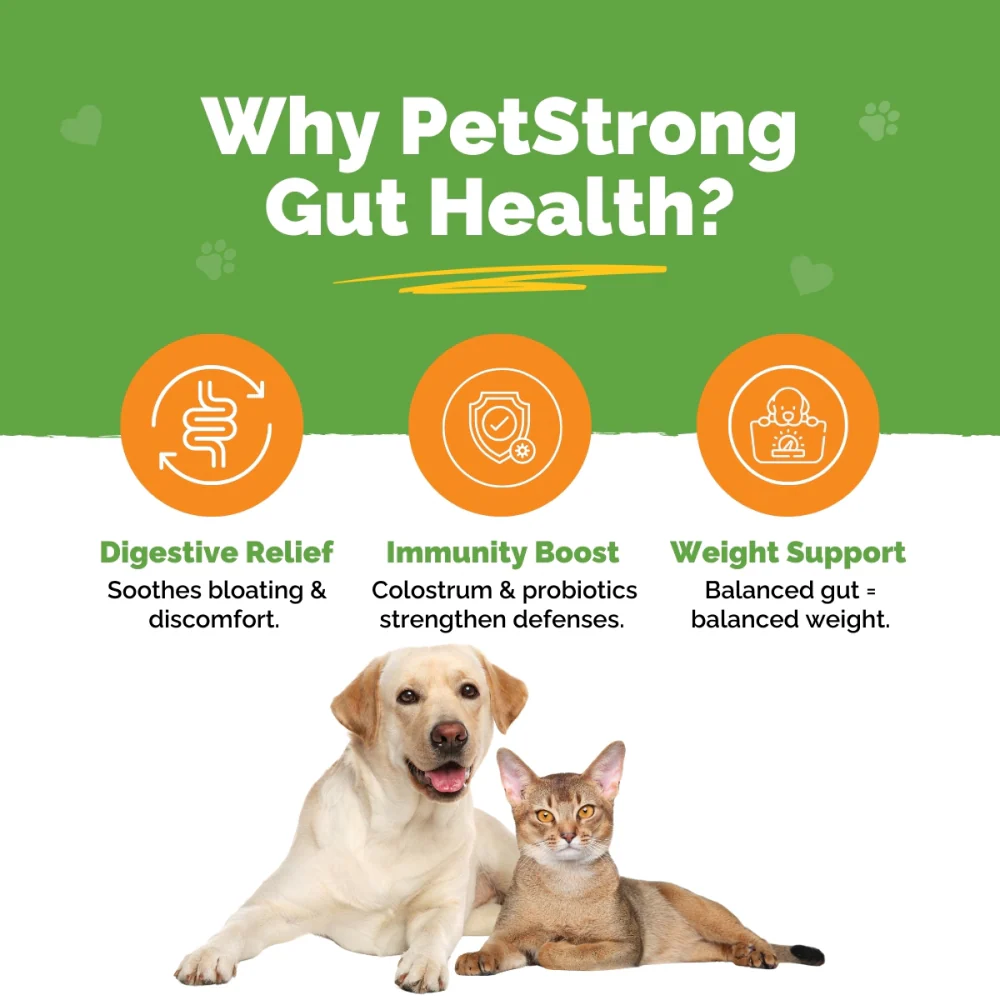 PetStrong Probiotic and Prebiotic Gut Health Supplement Sachet for Dogs and Cats - Image 7