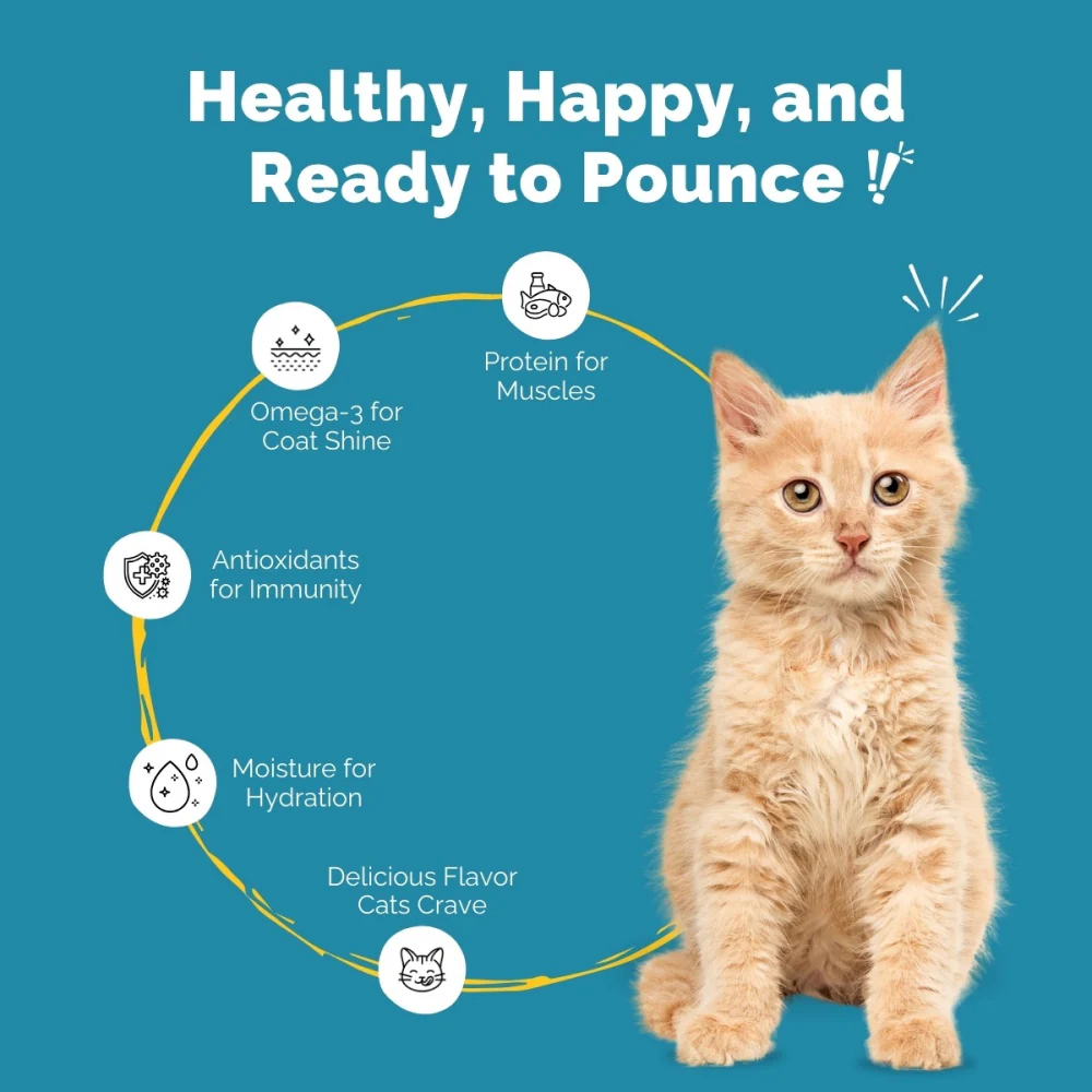 PetStrong Sardine & Tuna and White Fish in Gravy Cat Wet Food Combo - Image 5