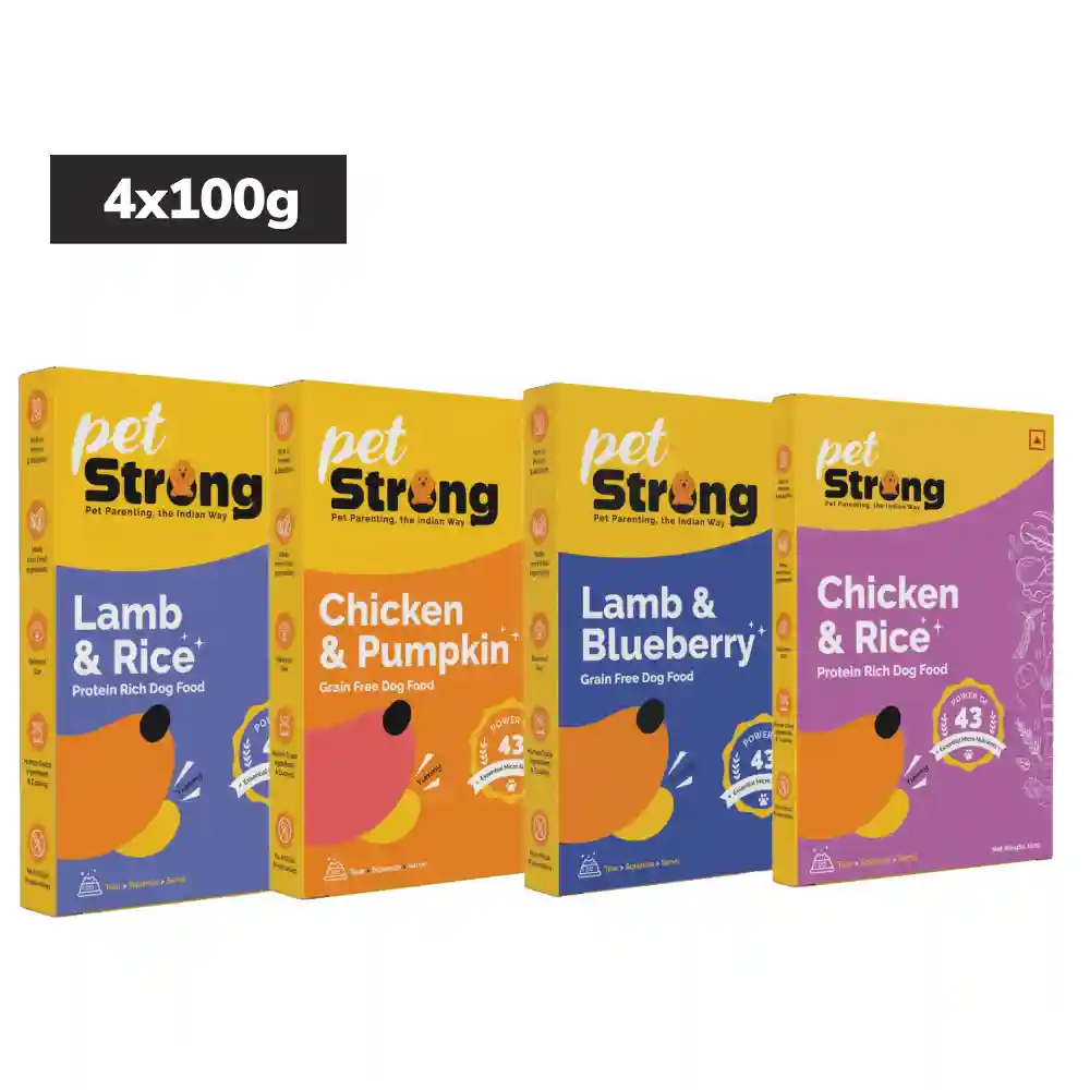 PetStrong Fresh Food Variety Pack Combo for Dogs - Image 2