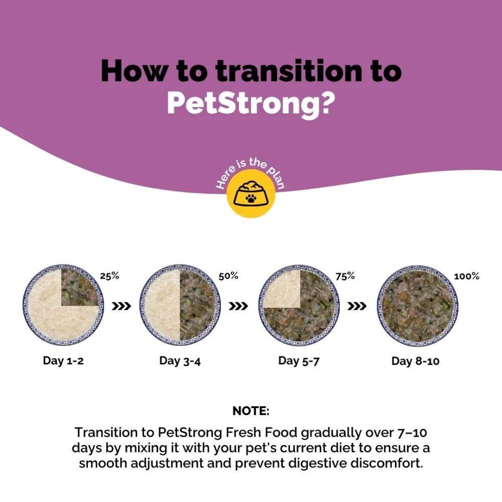 PetStrong Fresh Food Variety Pack Combo for Dogs - Image 26