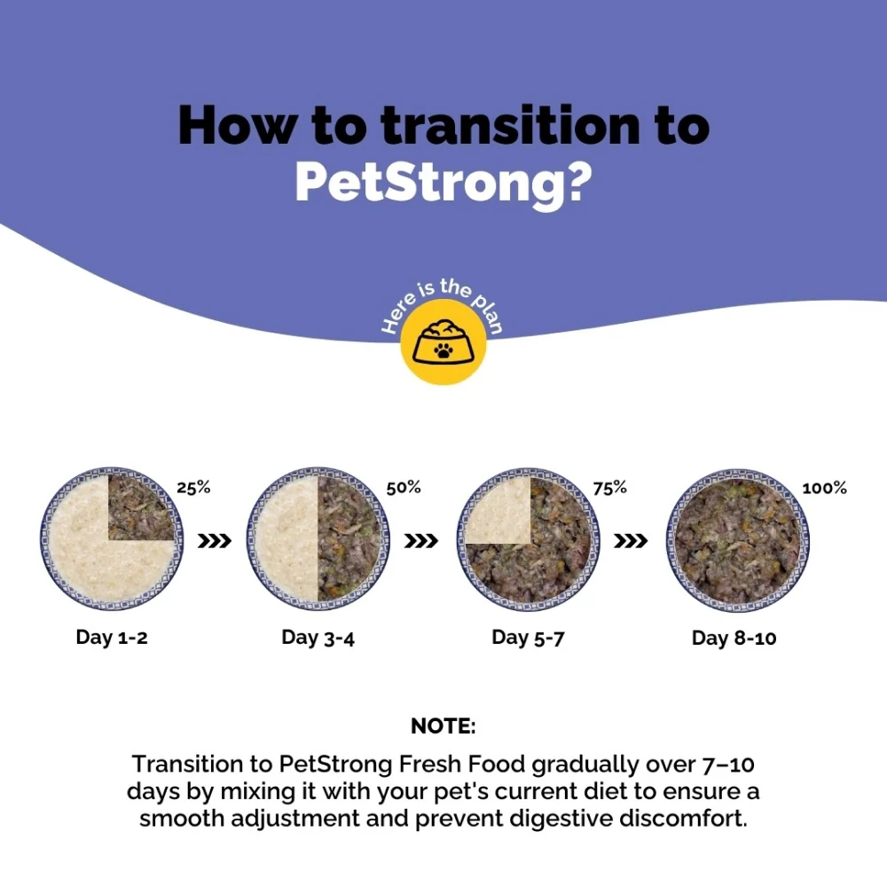 PetStrong Fresh Food Variety Pack Combo for Dogs - Image 31