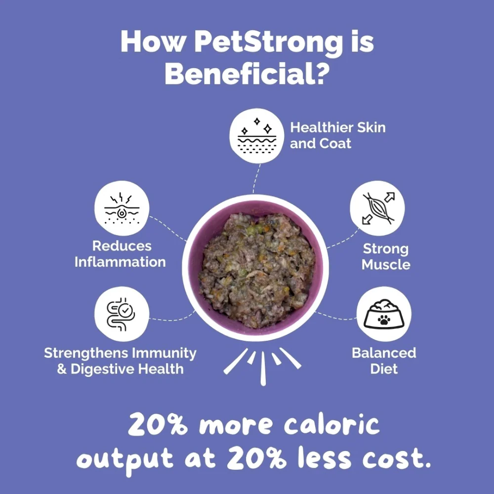 PetStrong Fresh Food Variety Pack Combo for Dogs - Image 33