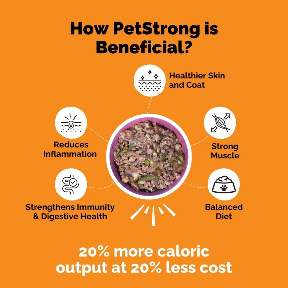 PetStrong Fresh Food Variety Pack Combo for Dogs - Image 8