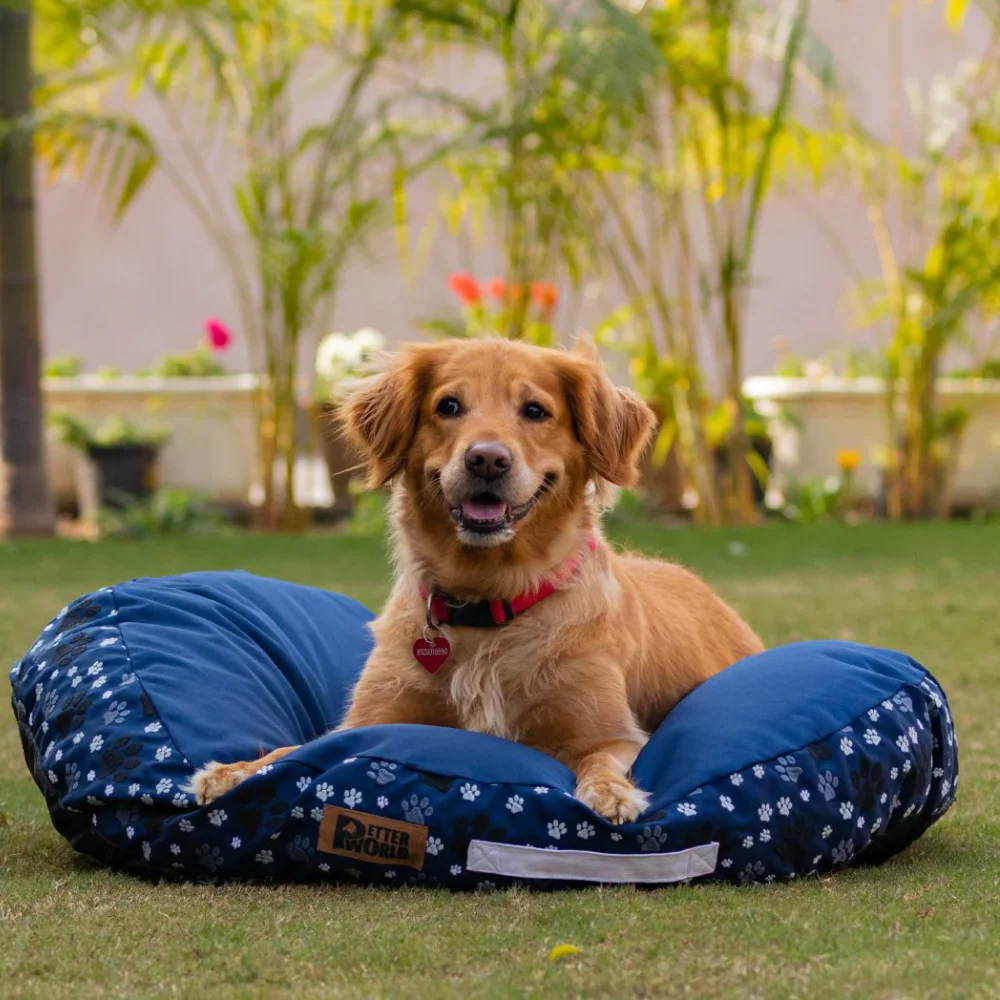 Petter World Indoor Artisanal Round Cushioned Bed with Washable Cover for Dogs and Cats (Ensign Blue) - Image 2