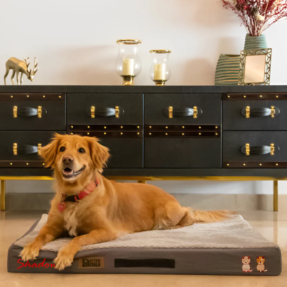 Petter World Micro Fur Orthopedic Mattress Bed with Memory Foam Base for Dogs (Meteorite)