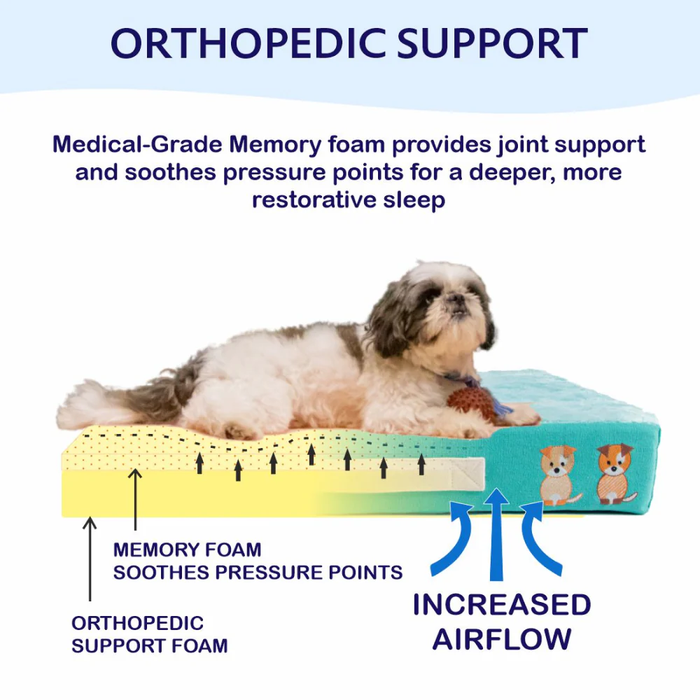 Petter World Micro Fur Orthopedic Mattress Bed with Memory Foam Base for Dogs (Turquoise) - Image 5