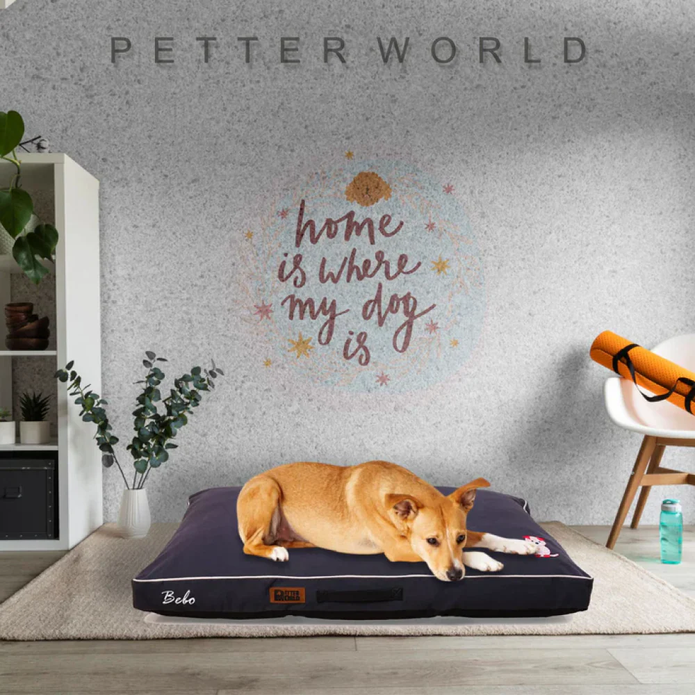 Petter World Comfort Flat Cushion Bed for Dogs (Autumn Grey) - Image 4