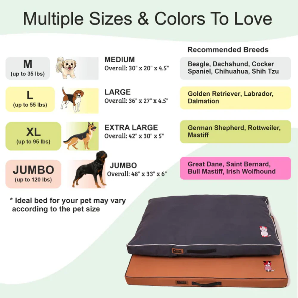 Petter World Comfort Flat Cushion Bed for Dogs (Celeste Green) - Image 10