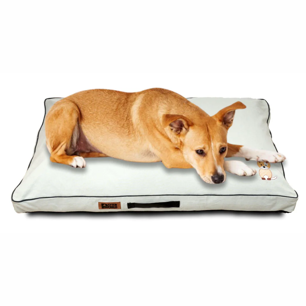Petter World Comfort Flat Cushion Bed for Dogs (Celeste Green) - Image 11