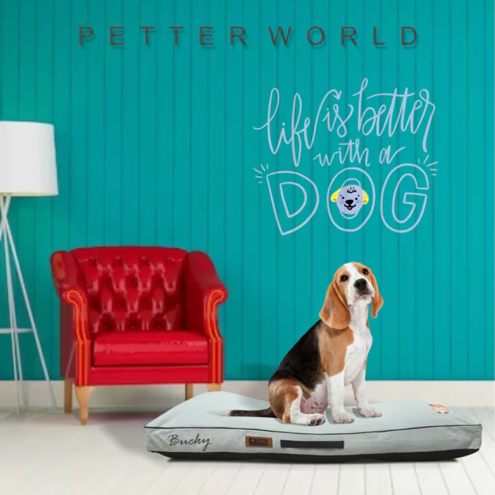 Petter World Comfort Flat Cushion Bed for Dogs (Celeste Green) - Image 4