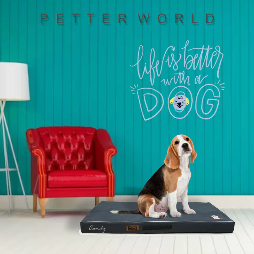 Petter World Comfort Flat Foam Bed for Dogs (Autumn Grey) - Image 3