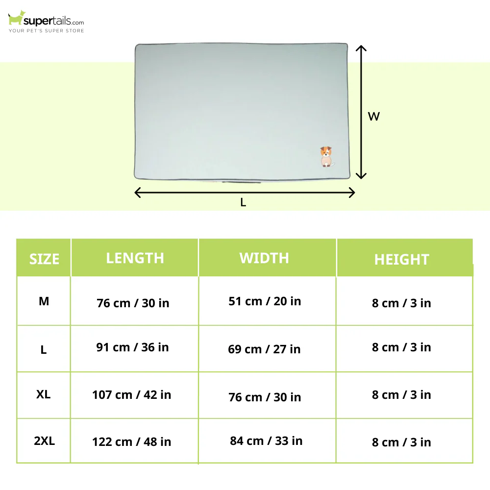Petter World Comfort Flat Foam Bed for Dogs (Celeste Green) - Image 2