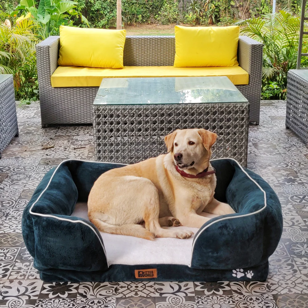 Petter World Convoluted & HD Foam Base with Bolster Orthopedic Sofa Bed for Dogs and Cats (Bottle Green) - Image 4
