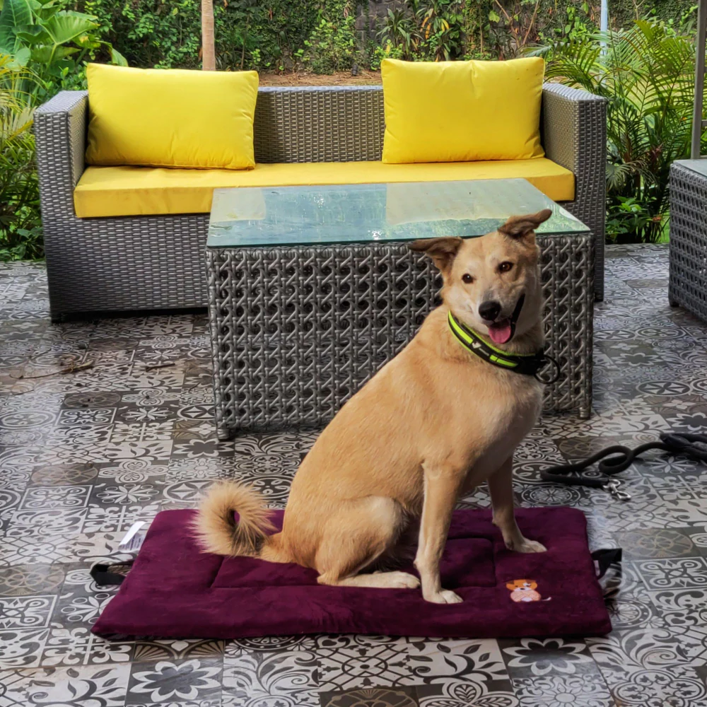 Petter World Orthopedic Memory Foam Base with Cooling Gel Summer Mat for Dogs and Cats (Mulled Wine) - Image 4