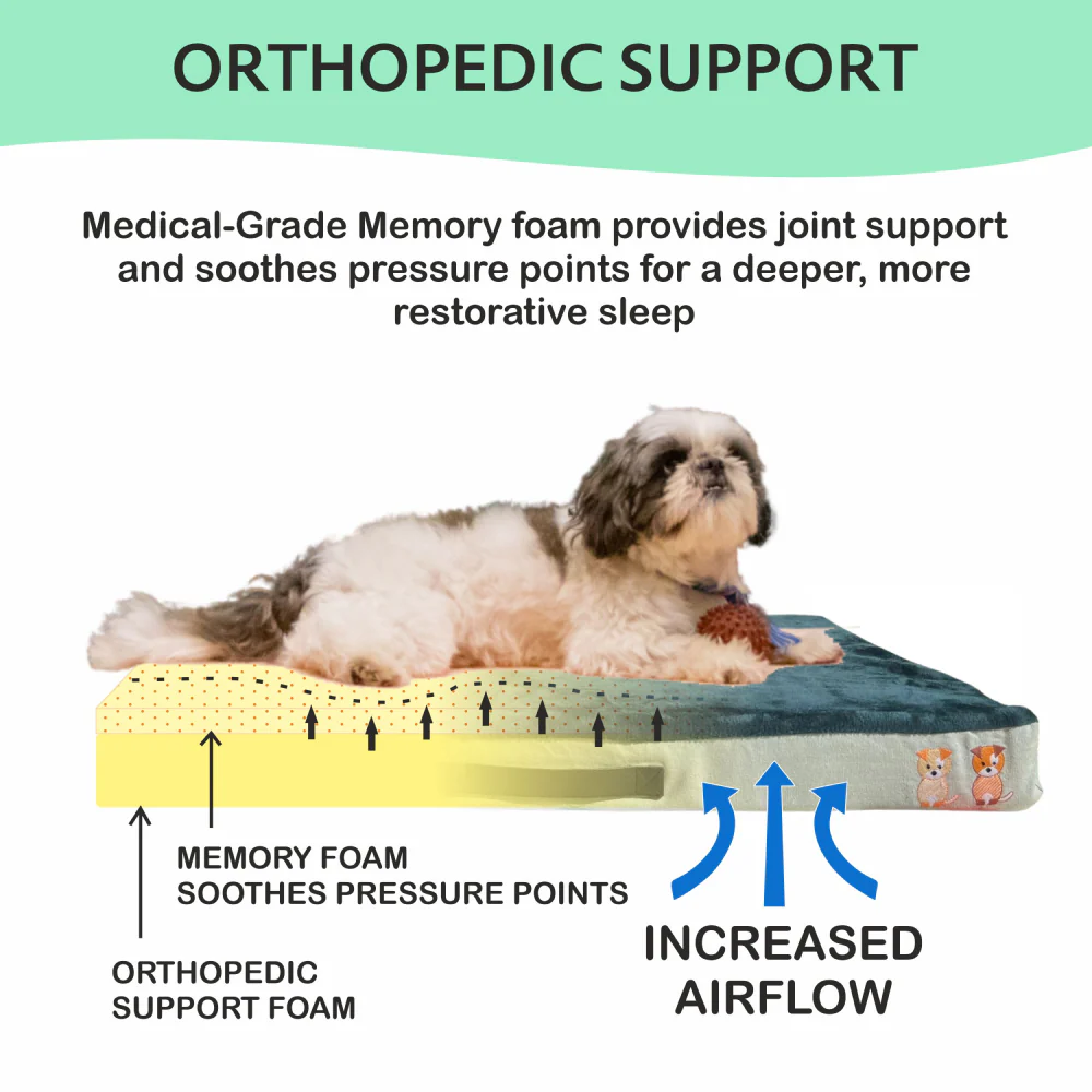 Petter World Orthopedic Memory Foam Bed With Large Sleep Surface for Dogs (Bottle Green) - Image 4