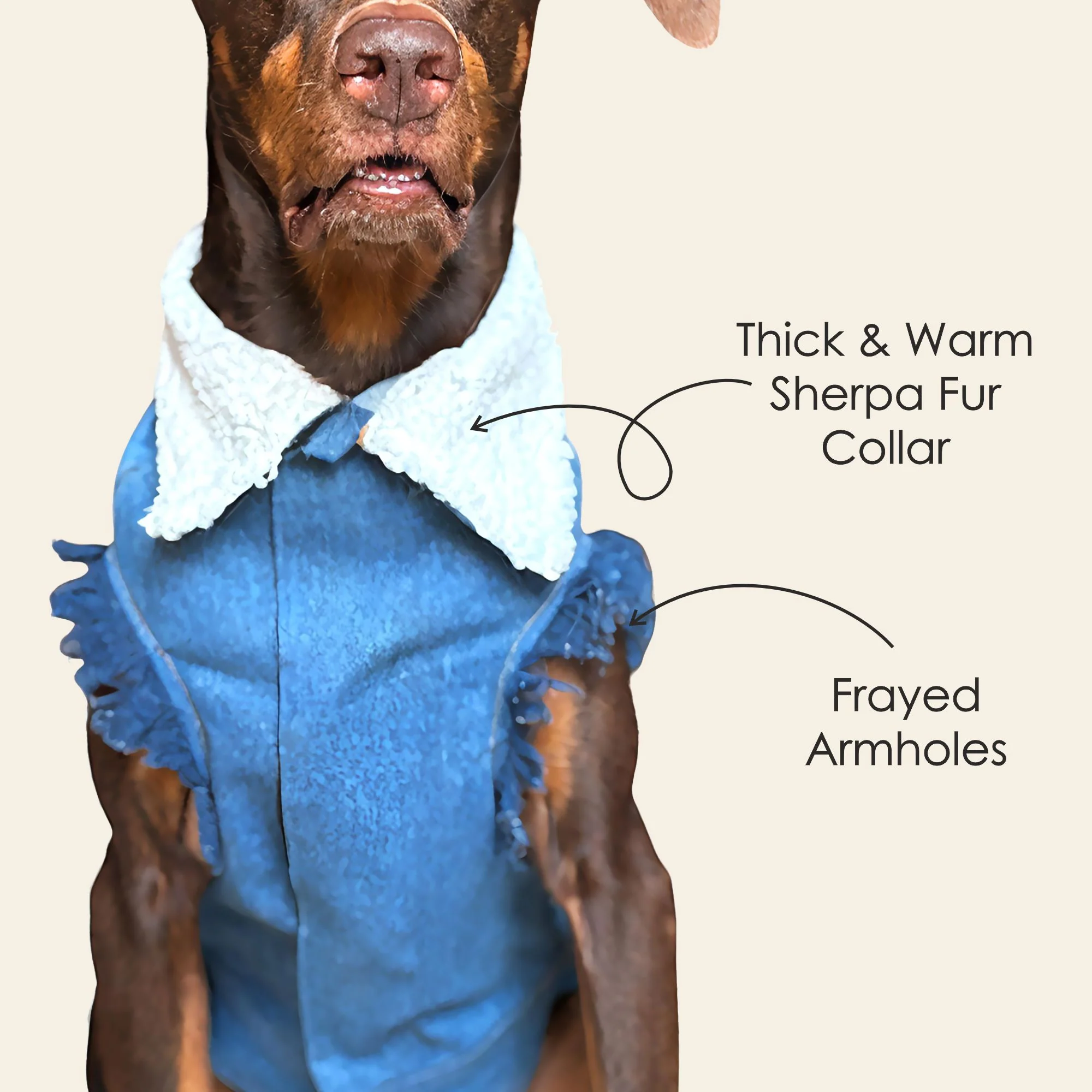 Petter World Pawluxe Sherpa Denim Jacket with Fur Collar for Dogs (Blue/White) - Image 2