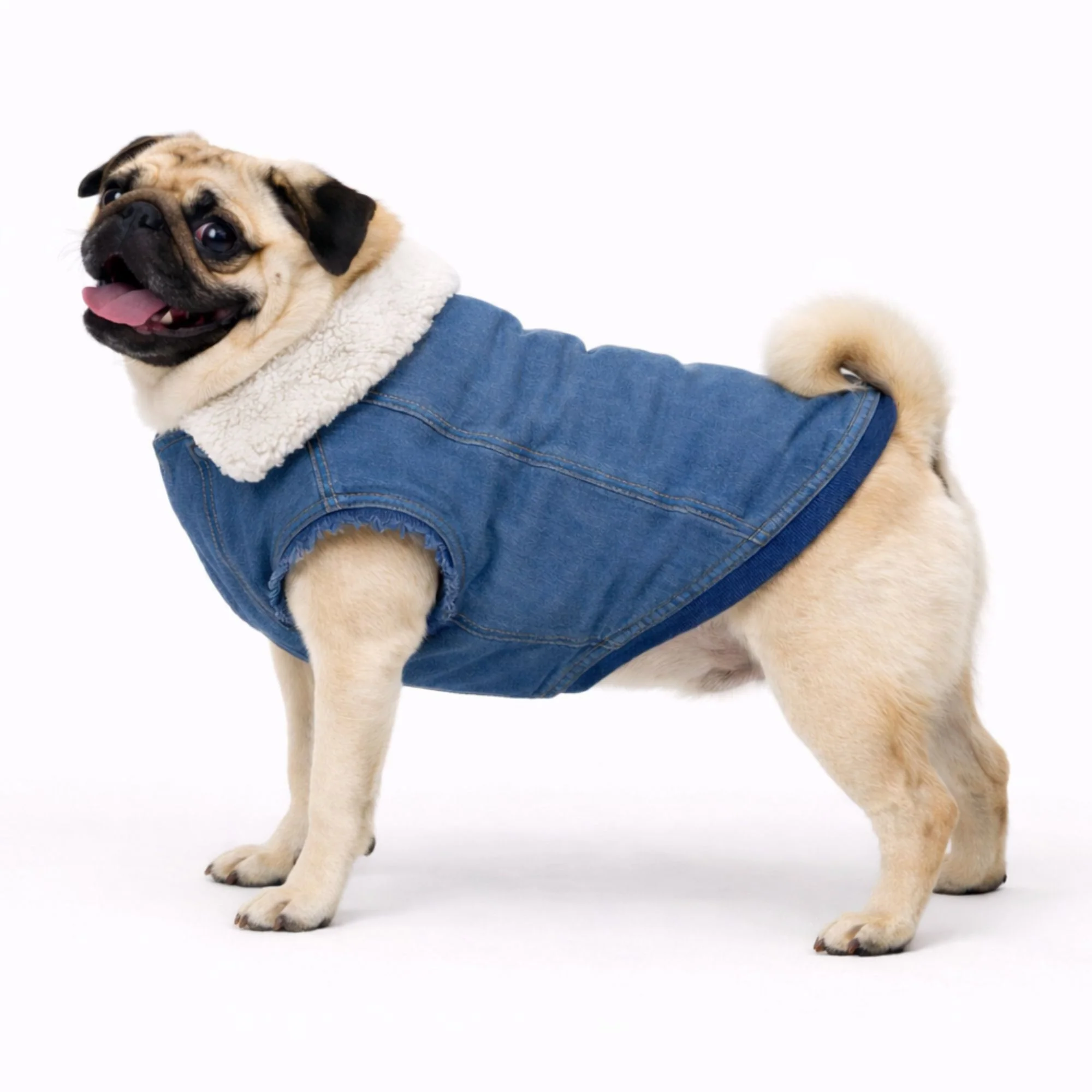 Petter World Pawluxe Sherpa Denim Jacket with Fur Collar for Dogs (Blue/White) - Image 5