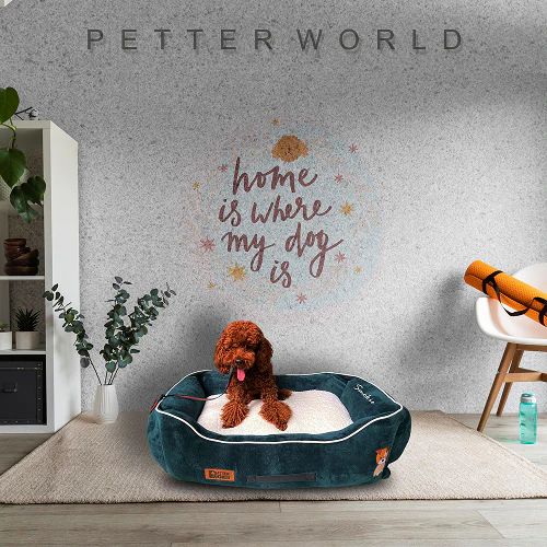 Petter World Ultra Luxury Micro Lounger Bed With Removable Sherpa for Dogs (Green) - Image 3