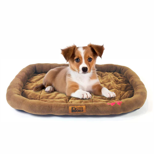 Petter World Ultra Soft Mat with Padded Bed for Dogs (Mocha Brown) - Image 3