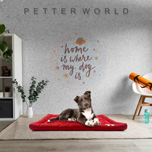 Petter World Waterproof Mat with Padded Perimeters for Dogs (Red) - Image 3