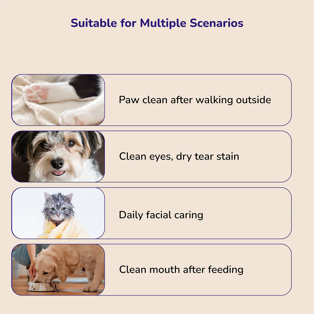 Petverse 2 in 1 Hair Drying & Hair Brush for Dogs & Cats - Image 3