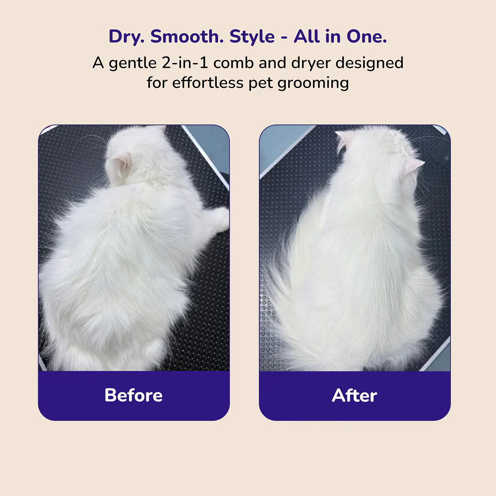 Petverse 2 in 1 Hair Drying & Hair Brush for Dogs & Cats - Image 6