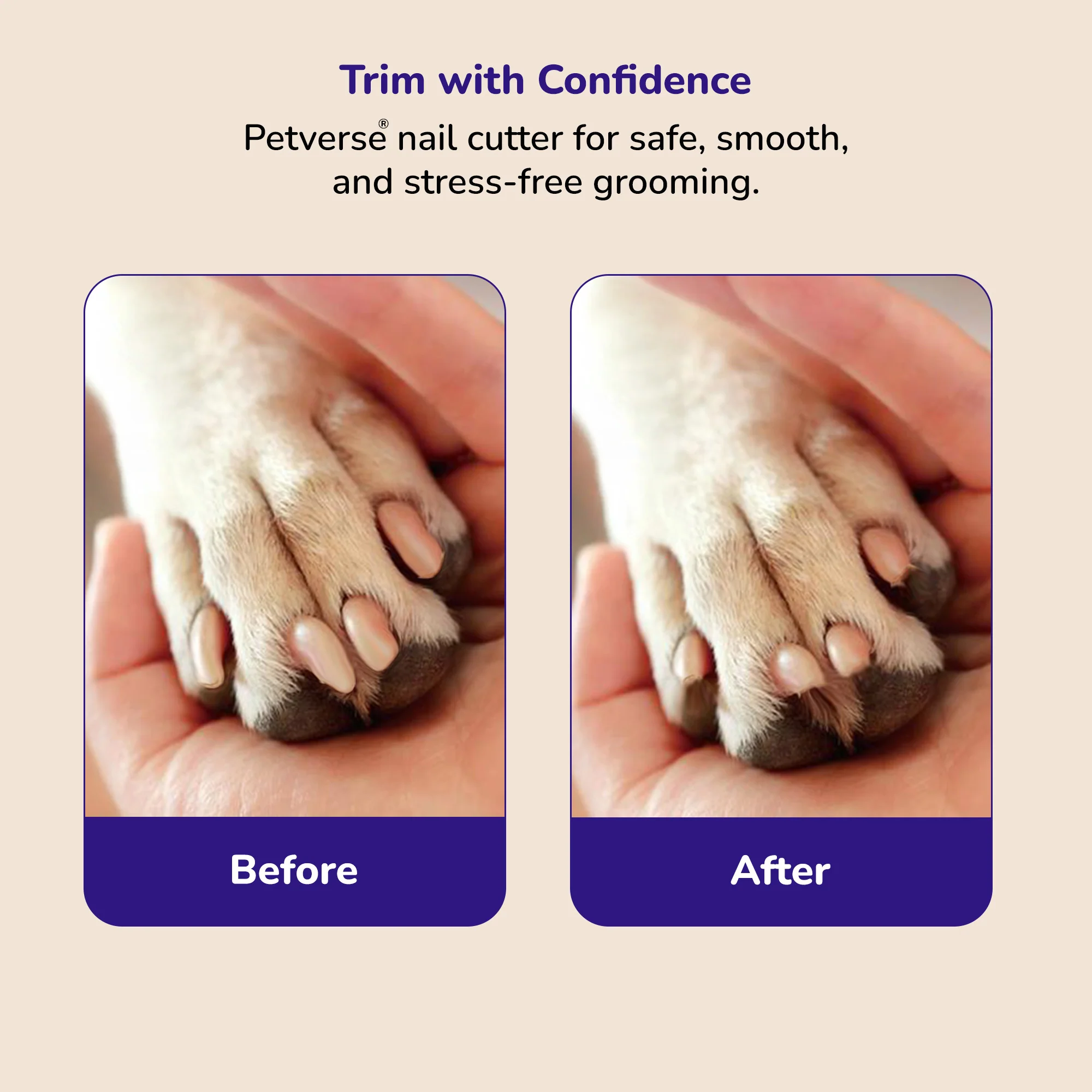 Petverse Built in Safety Guard & Integrated Nail File & Trimmer for Dogs ,Cats & Small Animals - Image 7