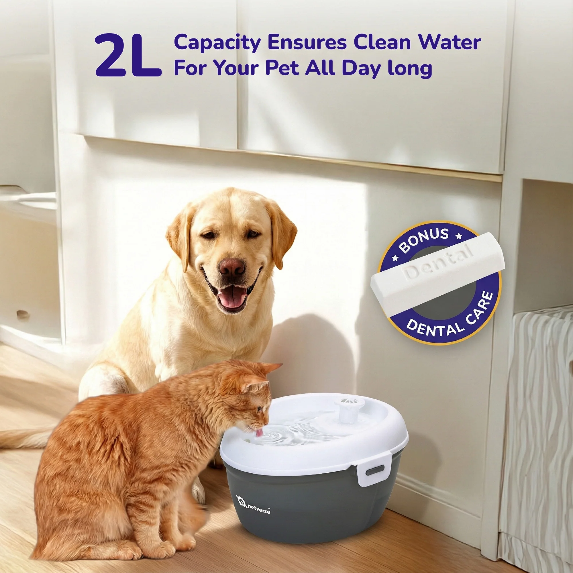 Petverse Oral Care Water Fountain for Dogs & Cats - Image 5