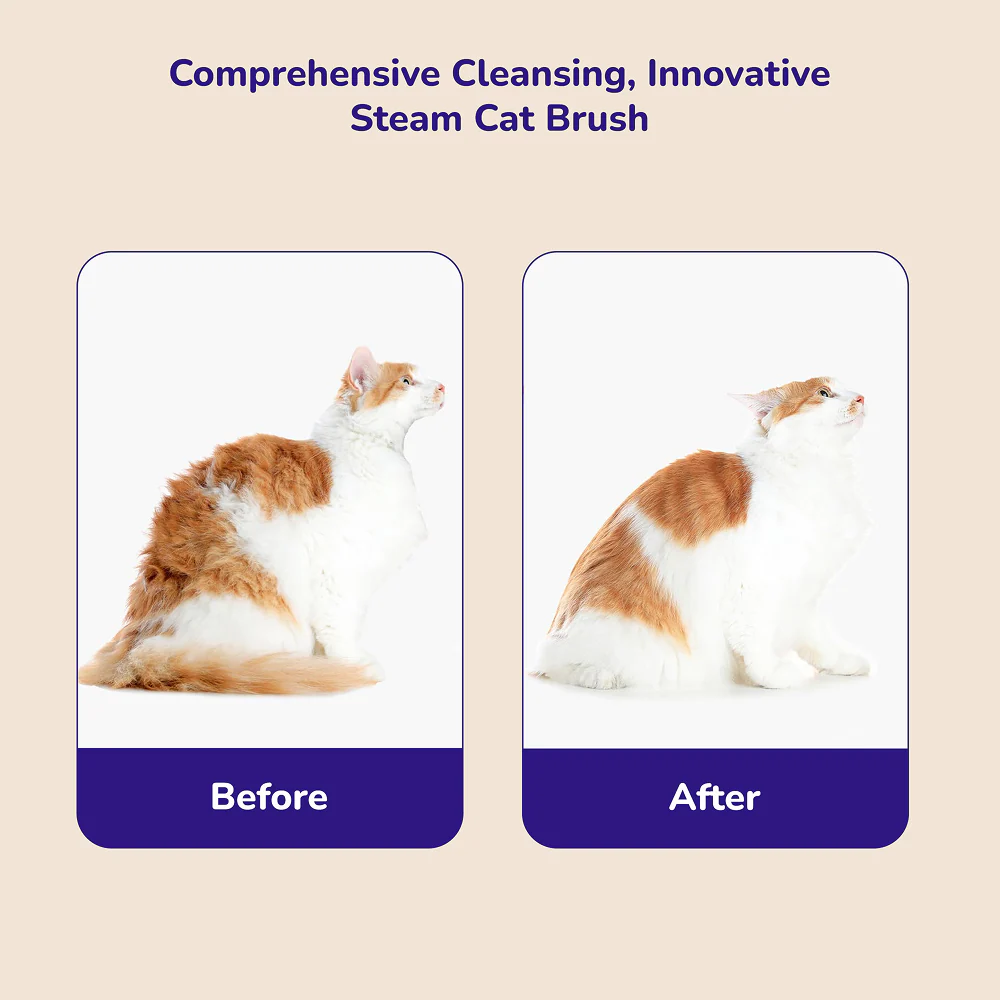 Petverse Steam Brush for Dogs & Cats - Image 8