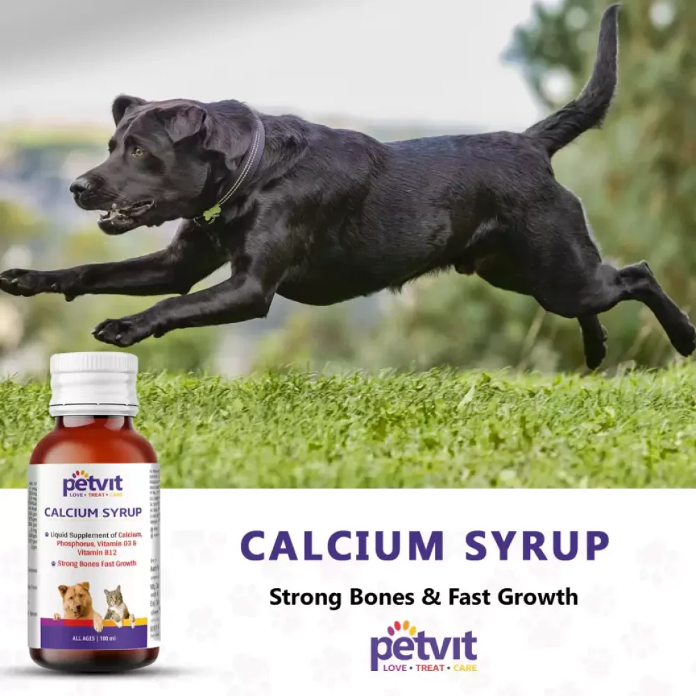 Petvit Calcium Syrup for Dogs - Image 8