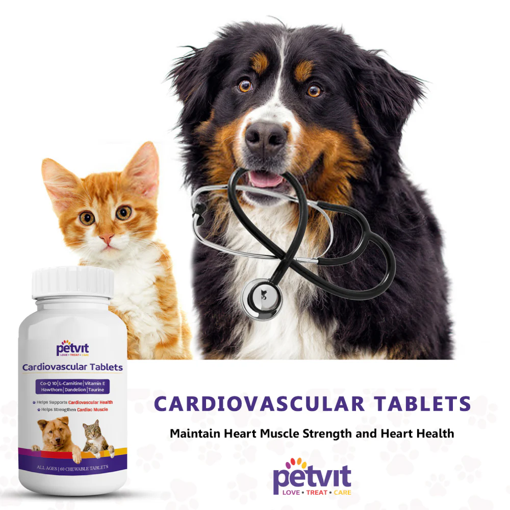 Petvit Cardiovascular Tablets, Coenzyme Q 10 Supplements for Dogs and Cats - Image 7